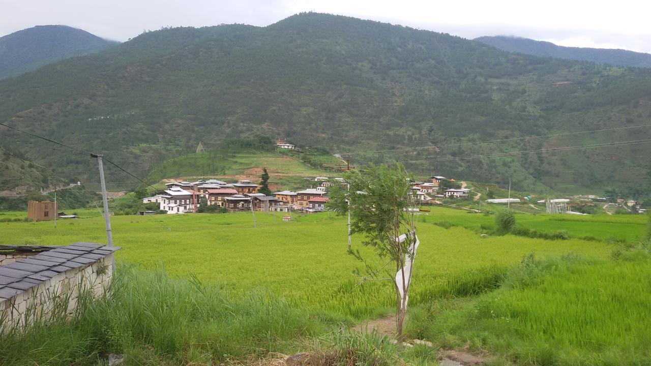 Chimi Lhakhang Village Homestay Punakha Exteriör bild