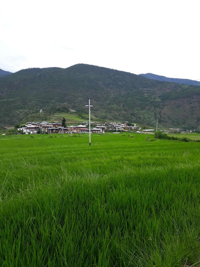 Chimi Lhakhang Village Homestay Punakha Exteriör bild